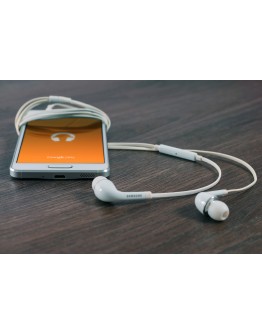 Earphone